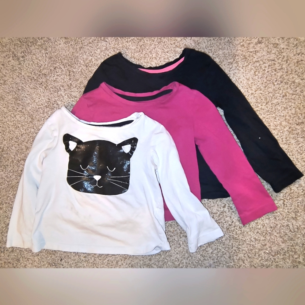 Spotted Zebra Assorted Long Sleeve Tees Size 2T (Lot of 3)